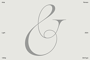 Aida | 10 Font Ligature Serif, a Font by Silktype (Thumbnail 12 of 20)