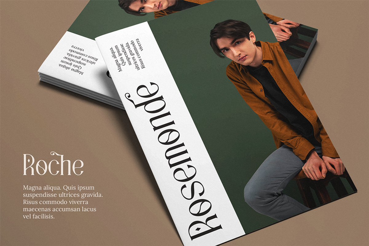 Quadrangle Stylish Serif, a Serif Font by Creatype Studio (Photo 6 of 10)