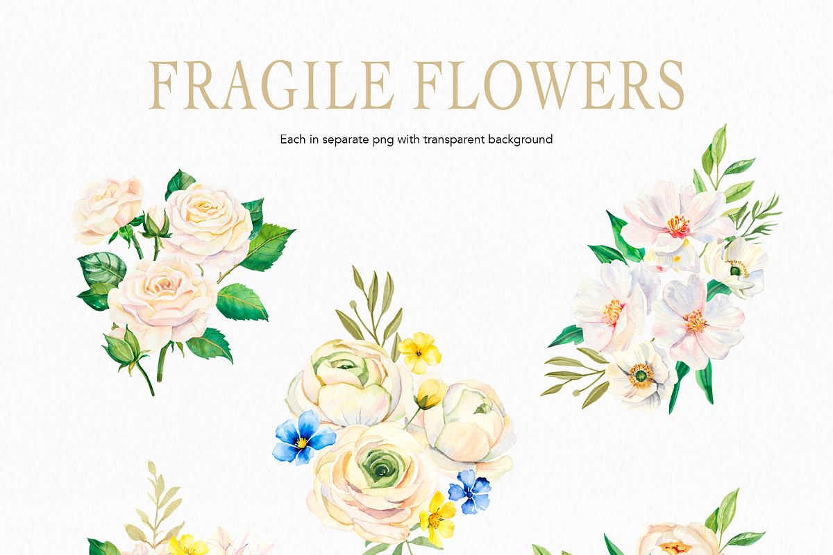 White Flowers watercolor collection, a Decorative Illustration by Volha Studio (Photo 3 of 9)