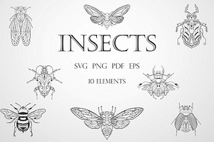Insects Vector SVG Bundle