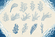 Seashells + Driftwood Procreate Set, a Brush Add-On by PrettyLittlePigs (Thumbnail 6 of 10)