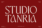 CS Belgita Drawn, a Serif Font by Craft Supply Co. (Thumbnail 2 of 8)