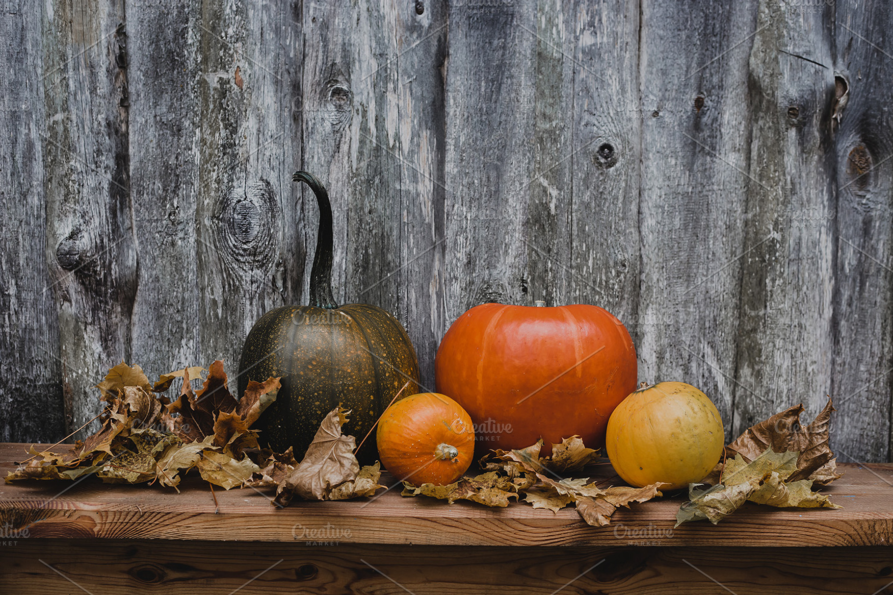 autumn still life concept pumpkins, a Holiday Photo by VetalStock