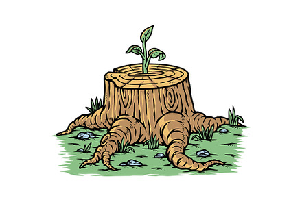 Plant growing out of a tree stump