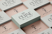 Elio & Oliver - Elegant Sans Serif, a Sans Serif Font by SilverStag Type Foundry (Thumbnail 8 of 17)