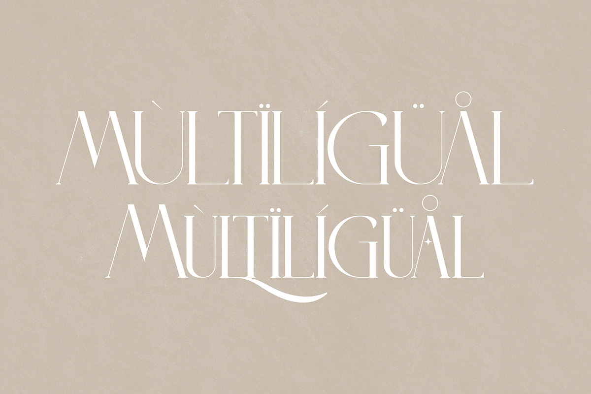 LITERACY Modern and Stylish Serif, a Serif Font by Storytype Studio (Photo 12 of 15)