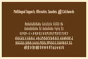 Skiltmaler Typeface, a Serif Font by Juru Rancang Studio (Thumbnail 4 of 5)