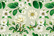 White summer nature illustrations, an Illustration by Sundra (Thumbnail 5 of 5)