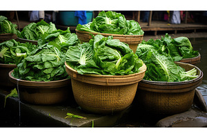 vendors water cabbage vegetable ai, a Nature Photo by pikepicture