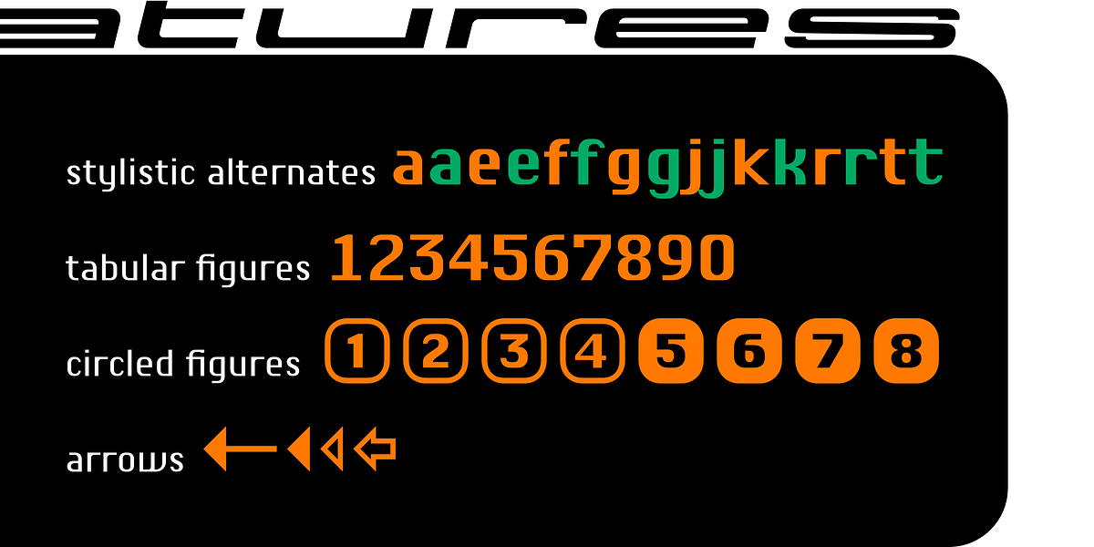 Chiq, a Sans Serif Font by ingoFonts (Photo 8 of 13)