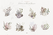 Underwater Magic. Marine Bundle., an Animal Illustration by Designwork (Thumbnail 5 of 21)