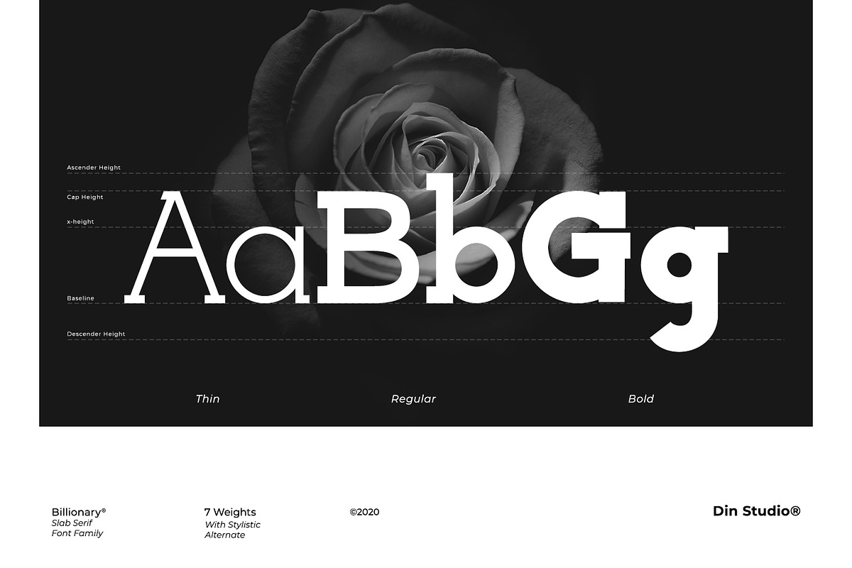 Billionary, a Slab Serif Font by din-studio.com (Photo 8 of 11)