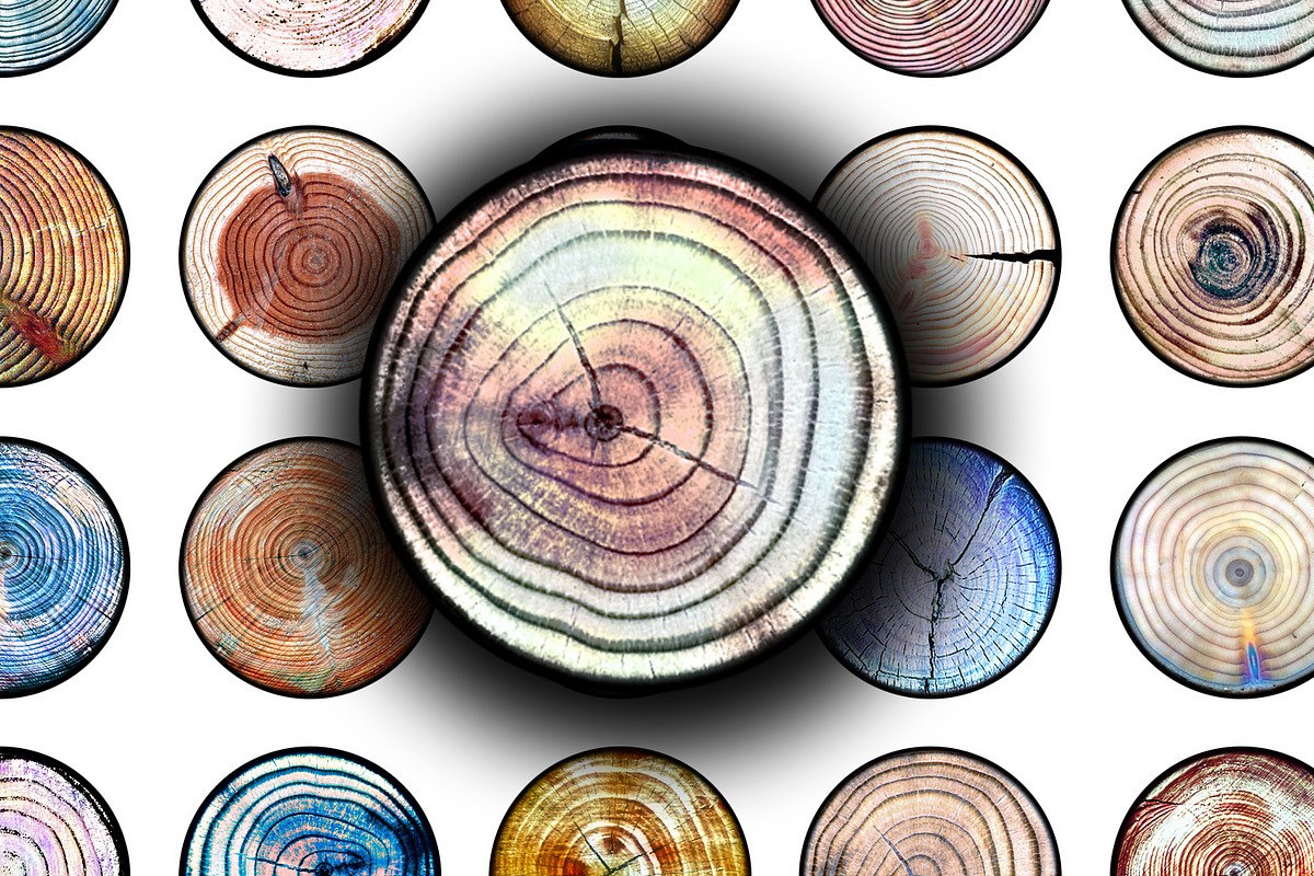 Digital Collage Sheet - Tree Ring, a Print Template by Kseniya-Omega (Photo 1 of 3)