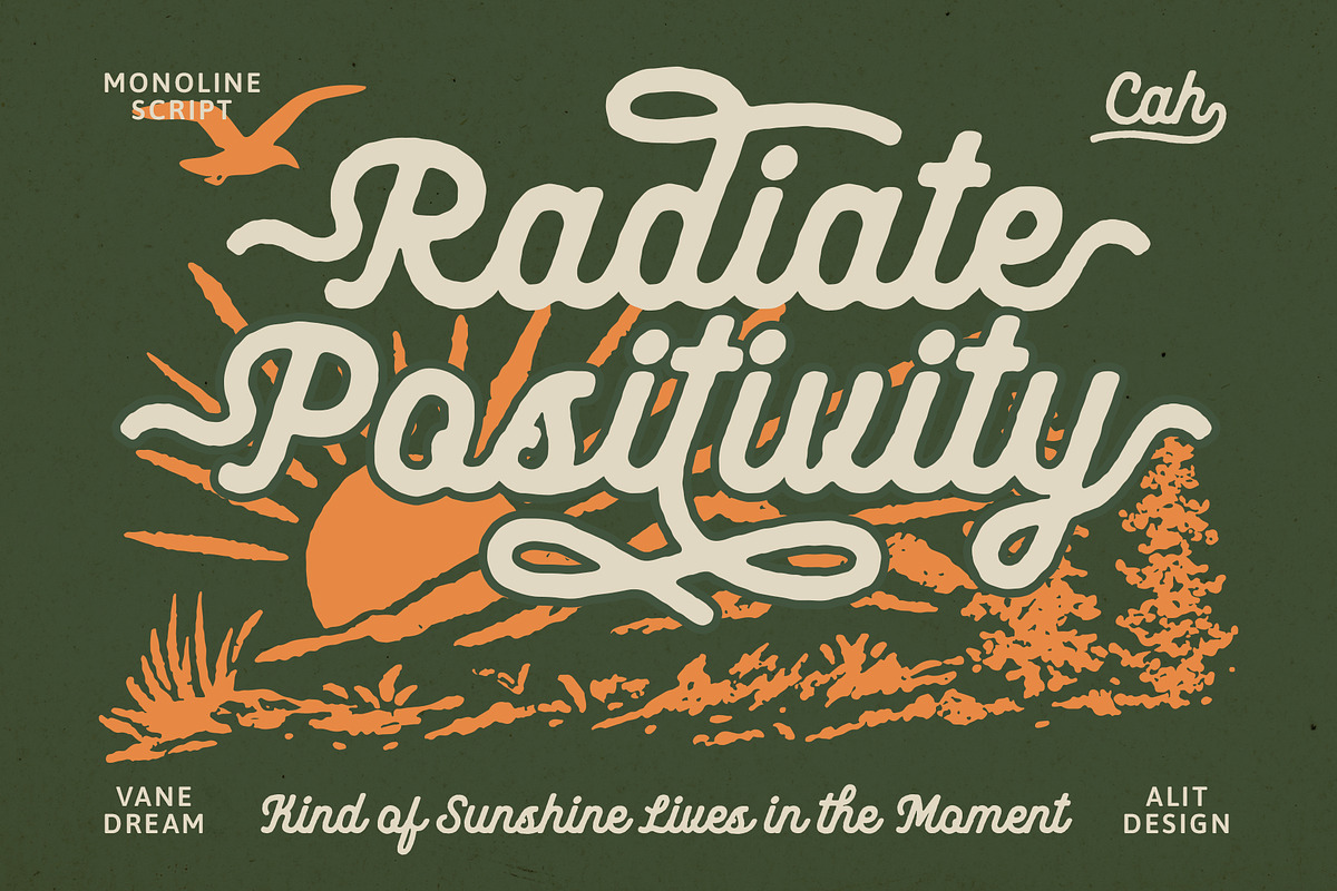 Vane Dream Typeface, a Script Font by alit design (Photo 3 of 15)