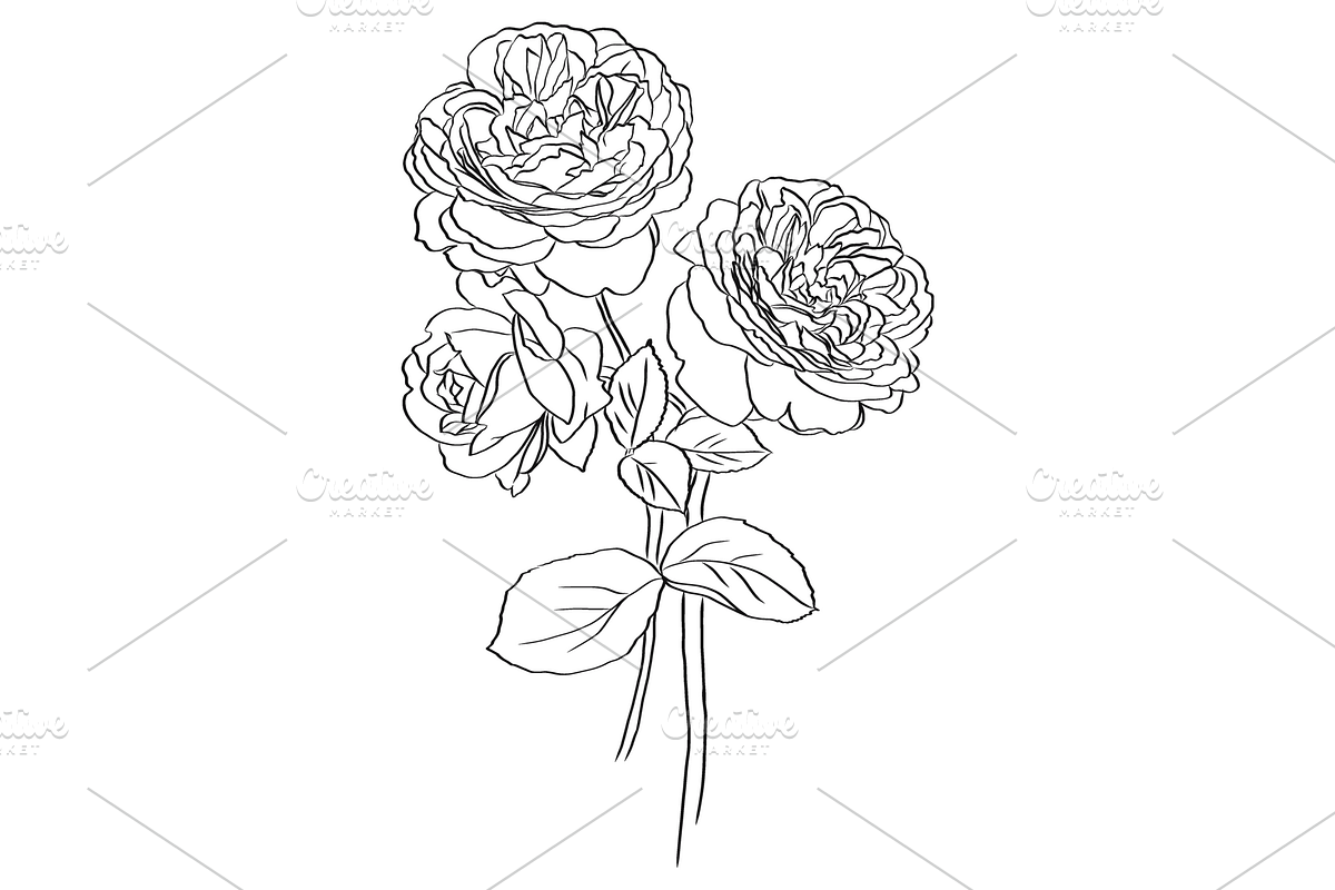 Bunch of Roses, an Object Graphic by VictoriaKStudio (Photo 7 of 8)