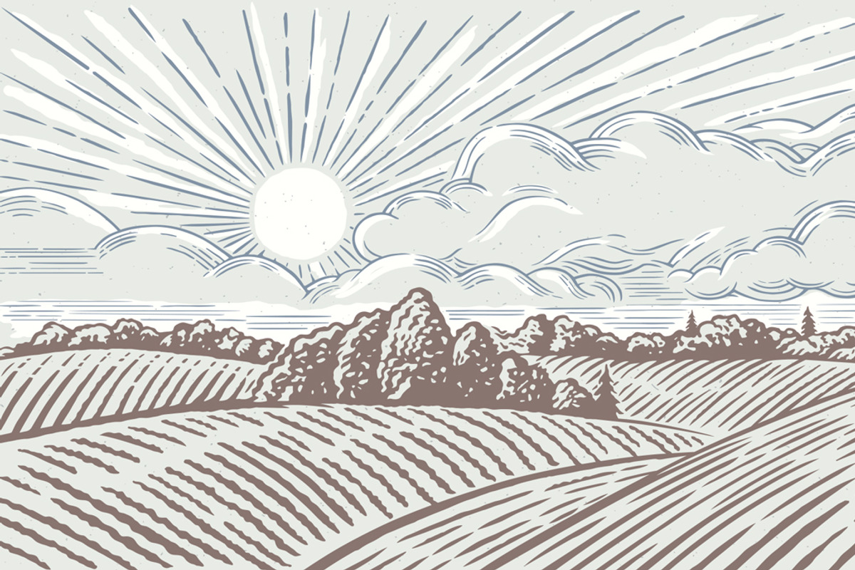 Rural landscape with Farm, an Illustration by Countryside life (Photo 4 of 9)