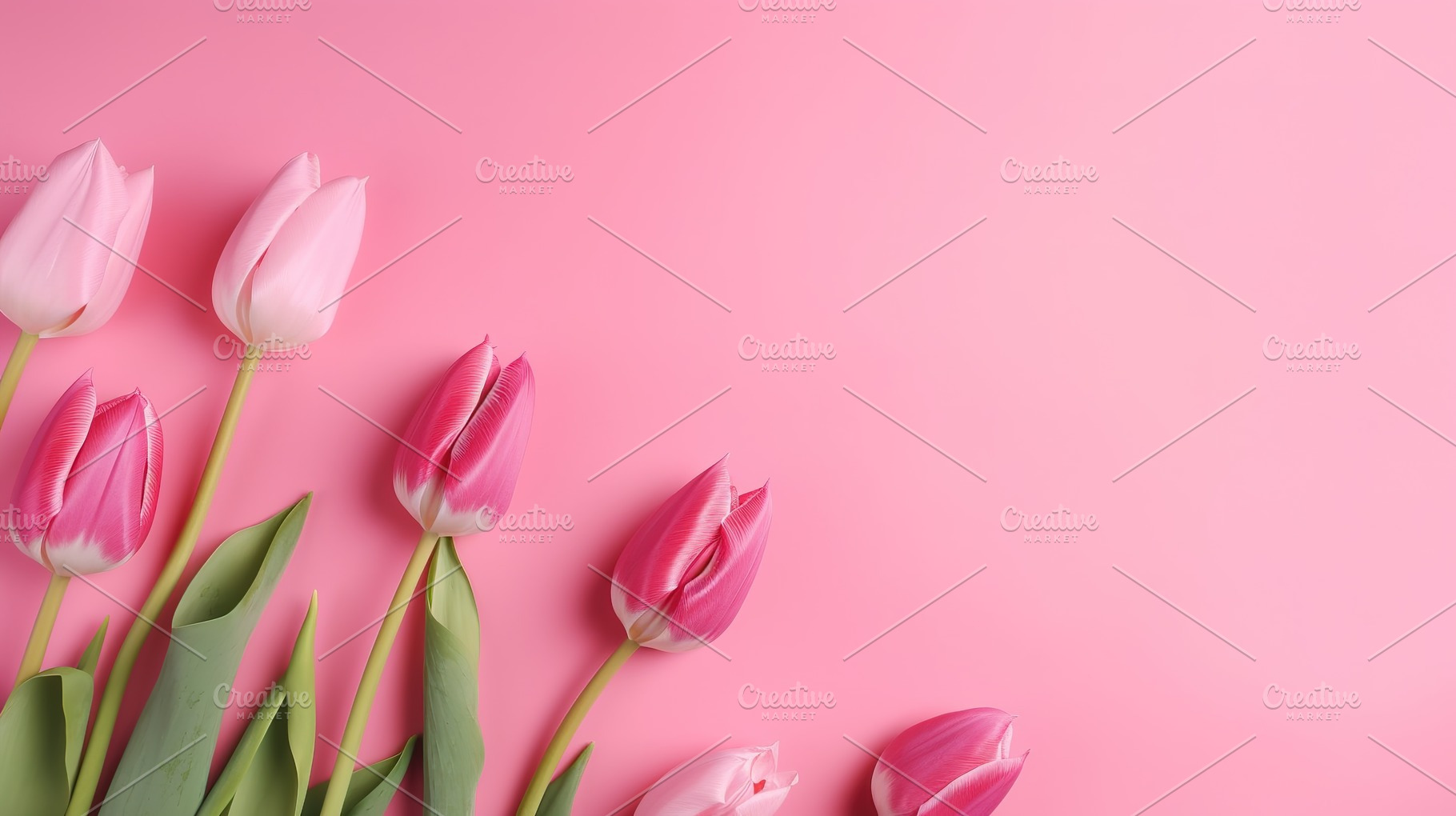 colorful tulip background, a Nature Photo by Virgo Studio