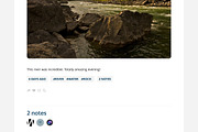 Viewfinder Tumblr Theme, a Websites & App Template by Themelantic (Thumbnail 4 of 5)