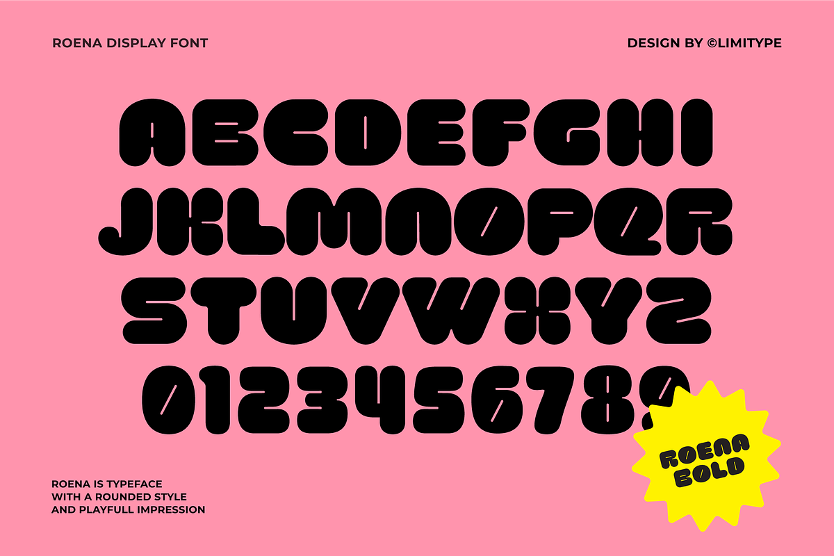 Roena - Bold Font, a Sans Serif Font by limitype (Photo 10 of 10)