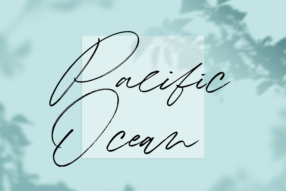Winterlady- Beautiful Script Font, a Script Font by Balpirick Studio (Photo 3 of 7)