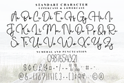 Silky White, a Handwritten Font by FreshTypeINK (Thumbnail 7 of 8)