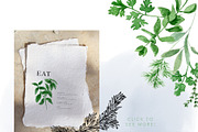 Watercolor Herb Collection, an Illustration by One and Only Paper (Thumbnail 5 of 7)