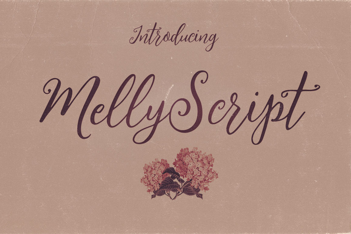 Melly Script Font Duo preview 5