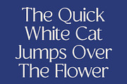 CS Granvile Drawn, a Serif Font by Craft Supply Co. (Thumbnail 2 of 8)