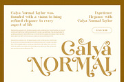 Baglin Elegant Ligature Serif Font, a Serif Font by Perfectype (Thumbnail 3 of 8)