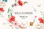 Watercolor Wildflowers & Leaves, a Decorative Illustration by Damian Roh (Thumbnail 24 of 24)
