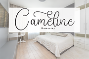Sparkle | Script Font, a Handwritten Font by Scratchones (Thumbnail 5 of 9)