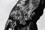 Elaphoras Display Serif Font, a Sans Serif Font by Storytype Studio (Thumbnail 8 of 18)