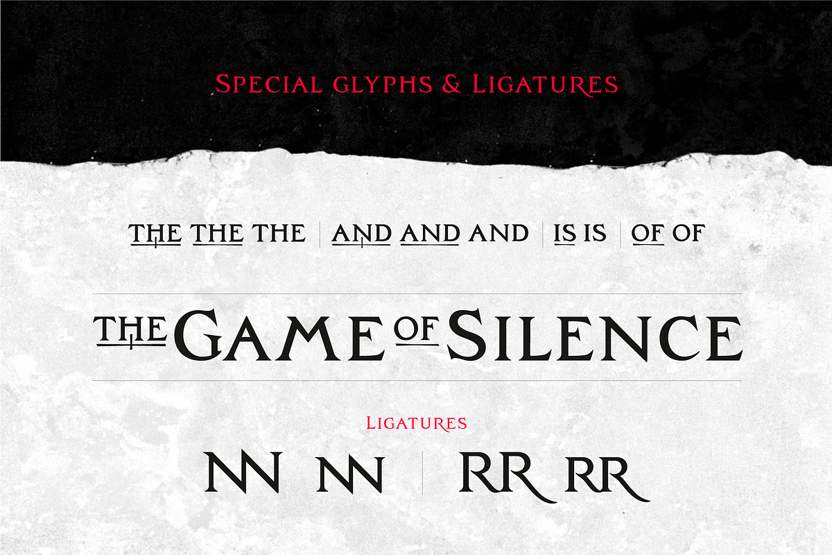 Zachar, a Serif Font by Rosario Nocera (Photo 10 of 12)