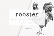 Hand drawn Rooster Illustration, an Animal Illustration by Greek fonts by nantia.co (Thumbnail 1 of 5)
