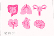 Internal organs, a Healthcare Illustration by Twisted Tail (Thumbnail 3 of 4)