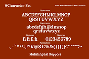 Fareza - Modern Serif Font, a Serif Font by RagamKata (Thumbnail 10 of 11)
