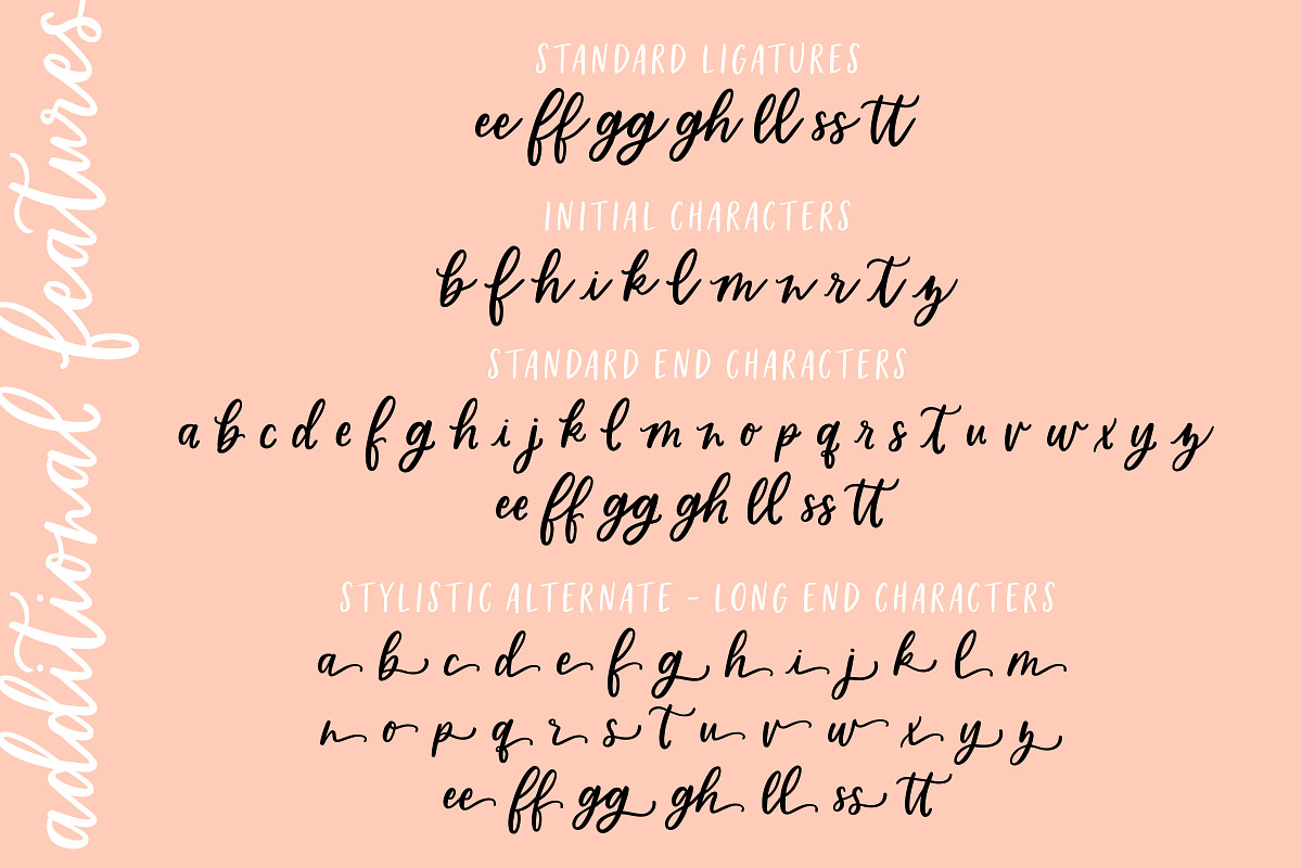 Homebody | Calligraphy Script Font preview 3