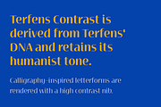 Terfens Contrast, a Sans Serif Font by insigne (Thumbnail 4 of 5)