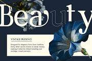 Elcherin Elegant Display Serif Font, a Serif Font by Rasio Studio (Thumbnail 4 of 7)