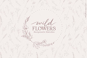 Wild flowers illustration clipart, an Illustration by Angele Kamp (Thumbnail 9 of 15)