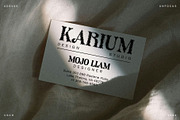 Adevas Unfocus, a Serif Font by Craft Supply Co. (Thumbnail 4 of 8)