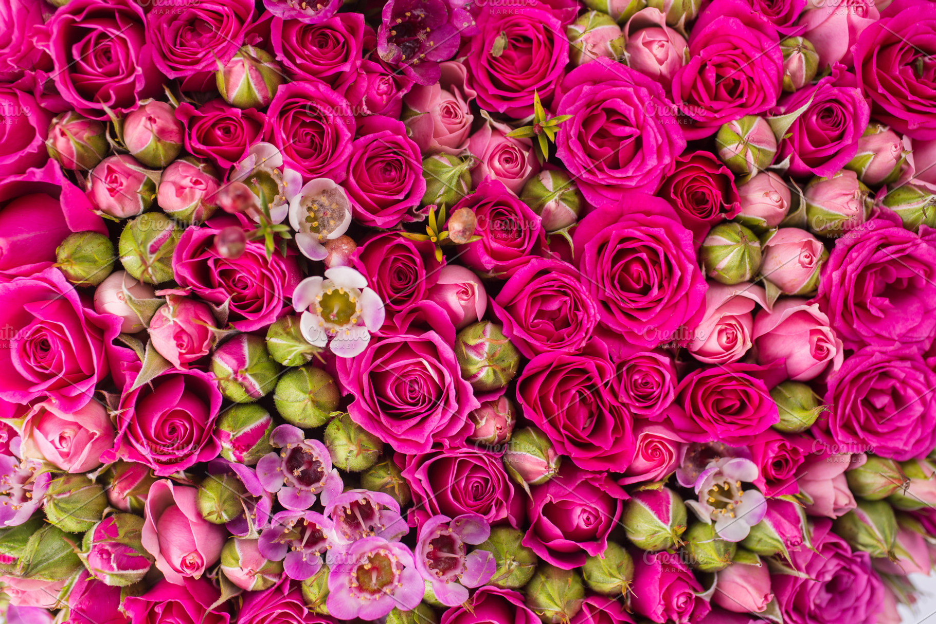 Abstract background of flowers., a Nature Photo by Vladimir Popovich