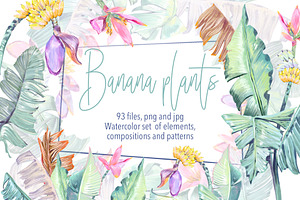 Banana blossom plants Watercolor set, an Illustration by Shabbypie