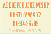 Brightford, a Serif Font by LetterStock (Thumbnail 4 of 4)