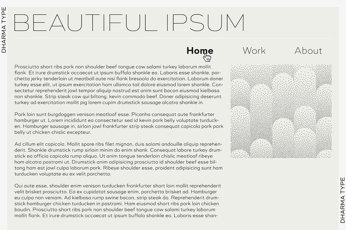 Quic, a Sans Serif Font by Dharma Type (Photo 7 of 10)