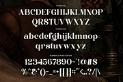 Perfina - Stylish Elegant Serif Font, a Serif Font by Font Liner (Thumbnail 9 of 10)