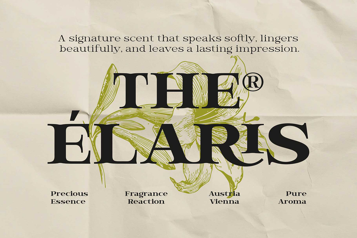 Hendry - Vintage Serif Family, a Serif Font by Novitype (Photo 4 of 12)