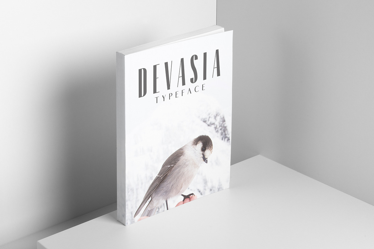 Devasia Sans Serif Font Family Pack preview 5