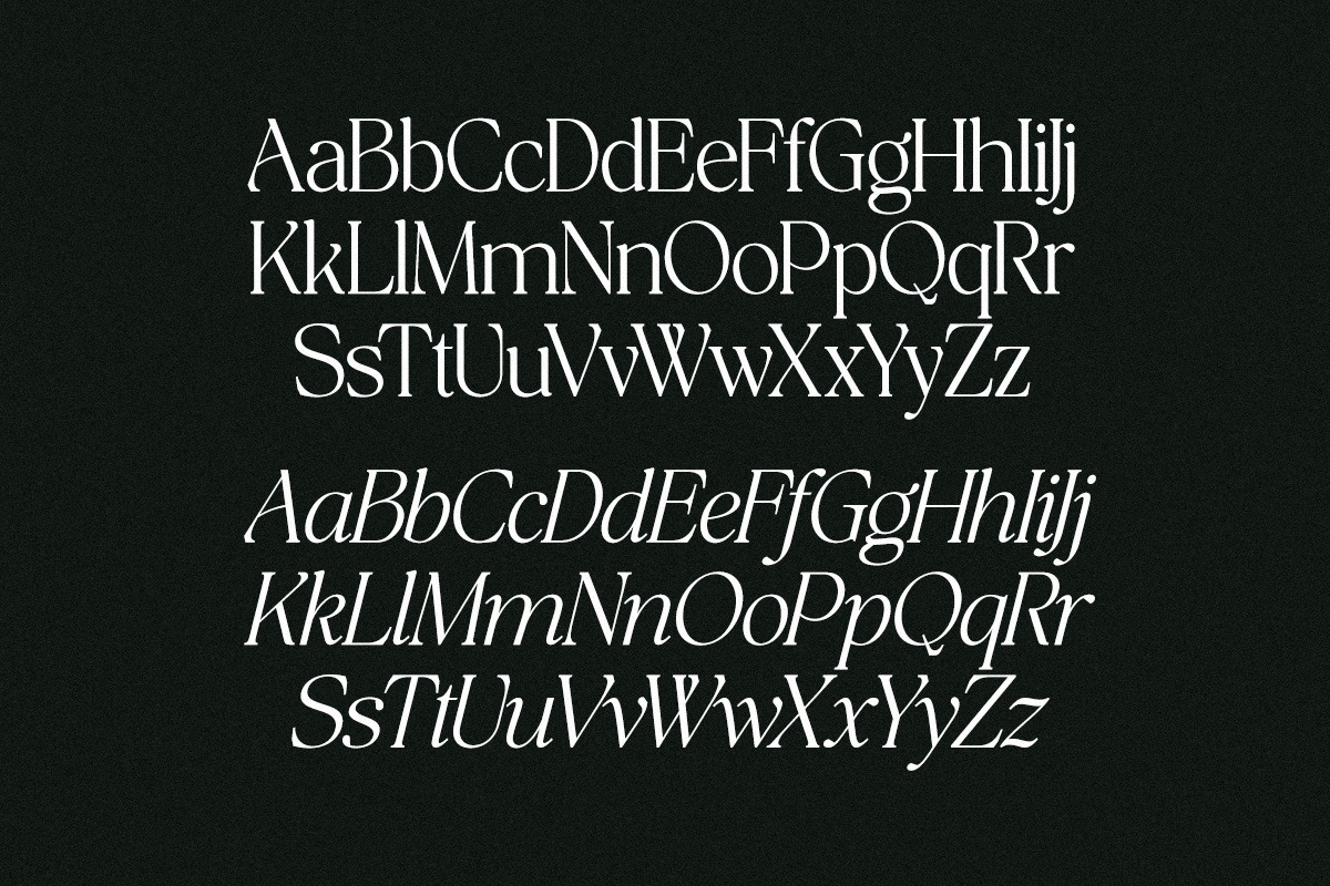 The Bilstein Editorial, a Serif Font by Pista Mova (Photo 15 of 20)