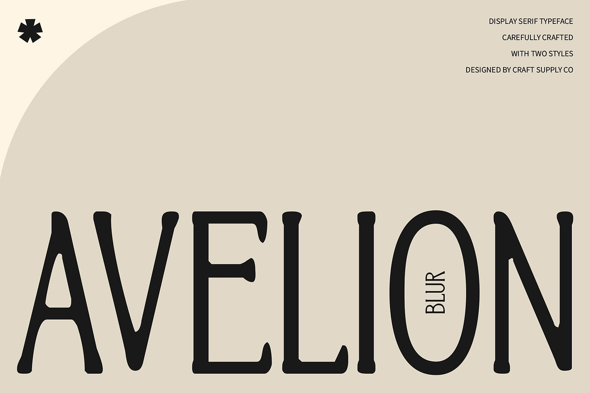Avelion Blur, a Serif Font by Craft Supply Co. (Photo 1 of 8)